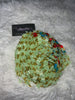 Glow in the dark butterfly beads